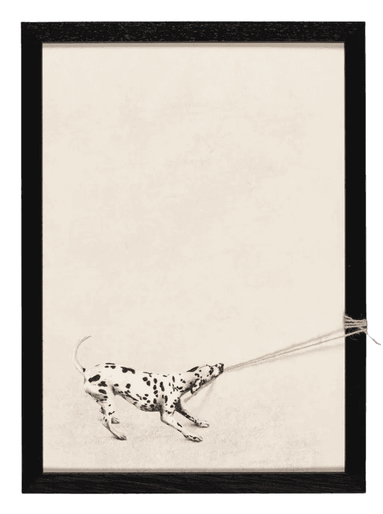 Domino
