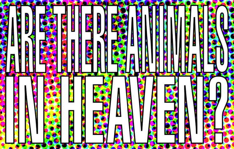 Are There Animals In Heaven
