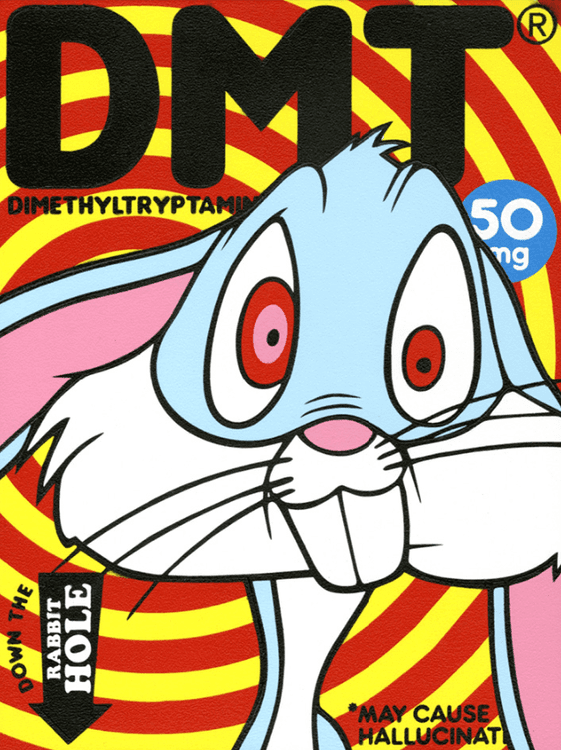 Bugs On DMT