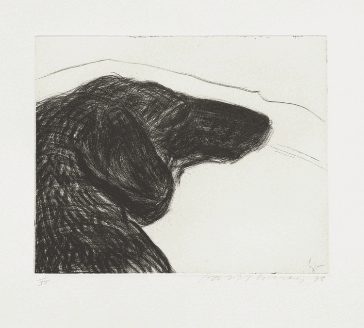 Dog Etching No. 6