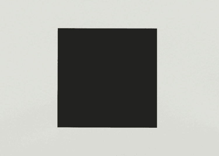 Two Whites and Black