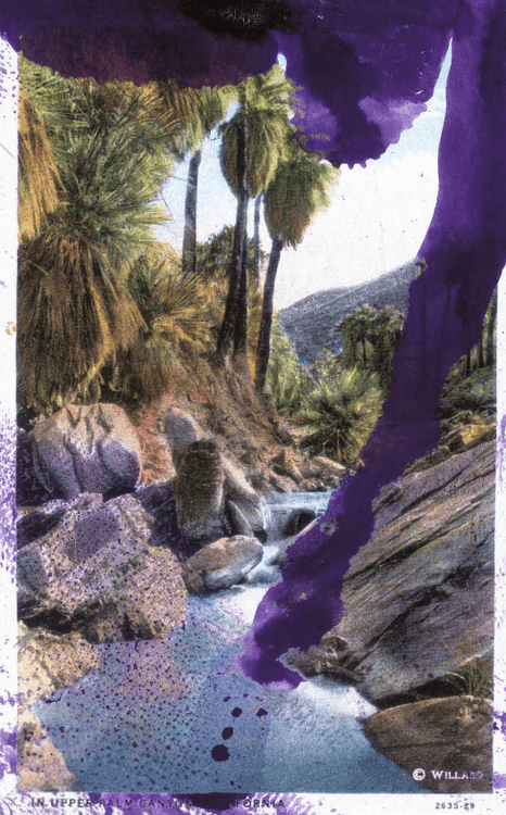 Upper Palm Canyon