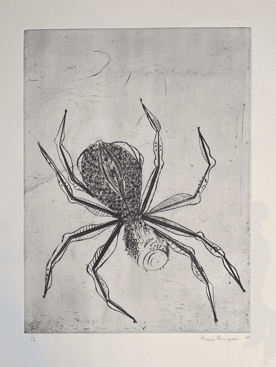 Spider