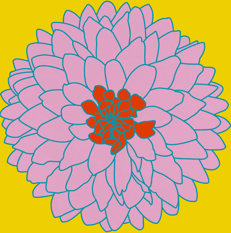 Flowers - Chrysanthemum