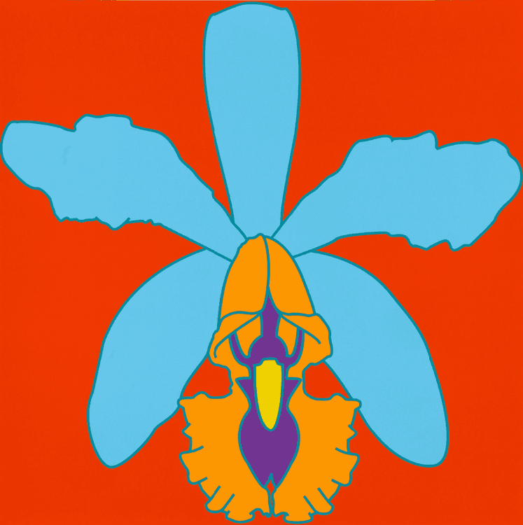 Flowers - Orchid