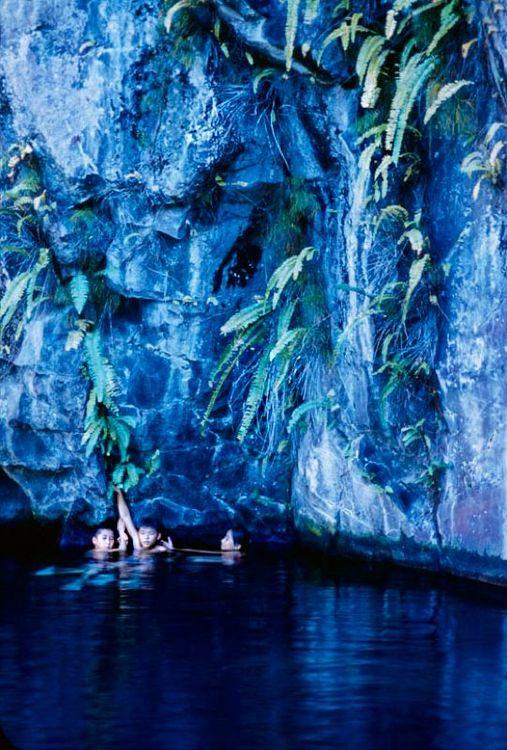 Hawaiian Scenes IX
