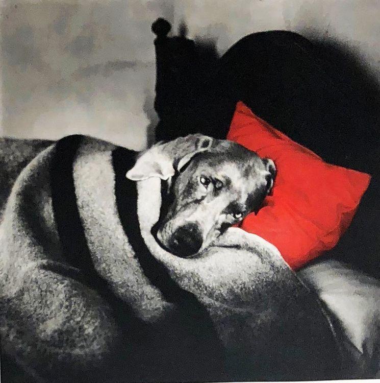 Cinderella Sleeping