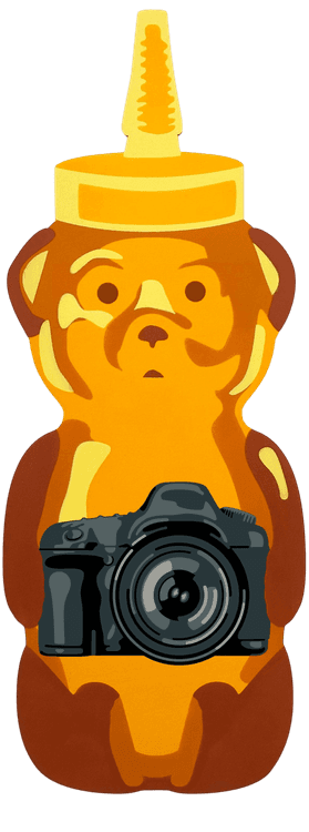 Camera Bear