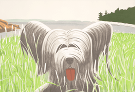 Dog at Duck Trap