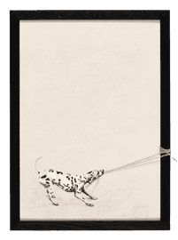 Domino