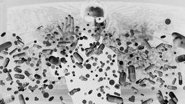 Neogation