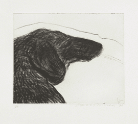 Dog Etching No. 6