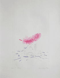 Plume