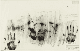 Skin with O'Hara Poem