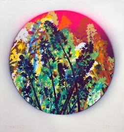 Bluebells 03