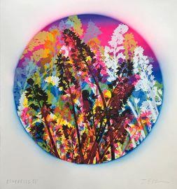 Bluebells 04