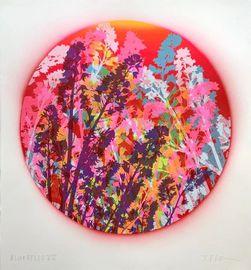 Bluebells 07
