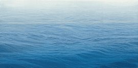 Water Customs 4