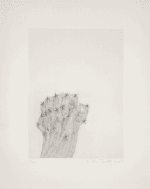 Catcher Ⅲ