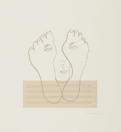 Metamorfosis (MoMA 492b)