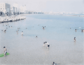 Bari