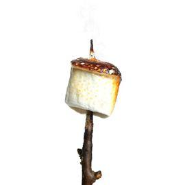Marshmallow (Medium)