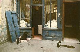 Parisian Blue