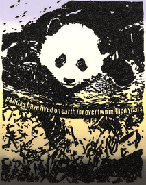 Giant Panda