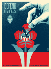 Defend Democracy
