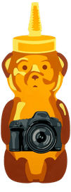 Camera Bear