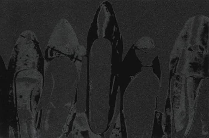 Shoes (Deluxe Edition) (FS II.252)