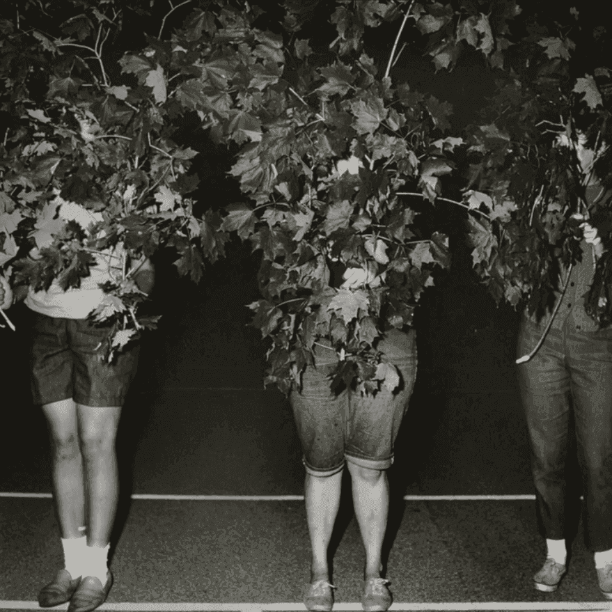 Diane Arbus, ‘Camp Lakecrest Campers as Trees, Dutchess County, NY’, 1968, Print, Gelatin silver print, null, Numbered