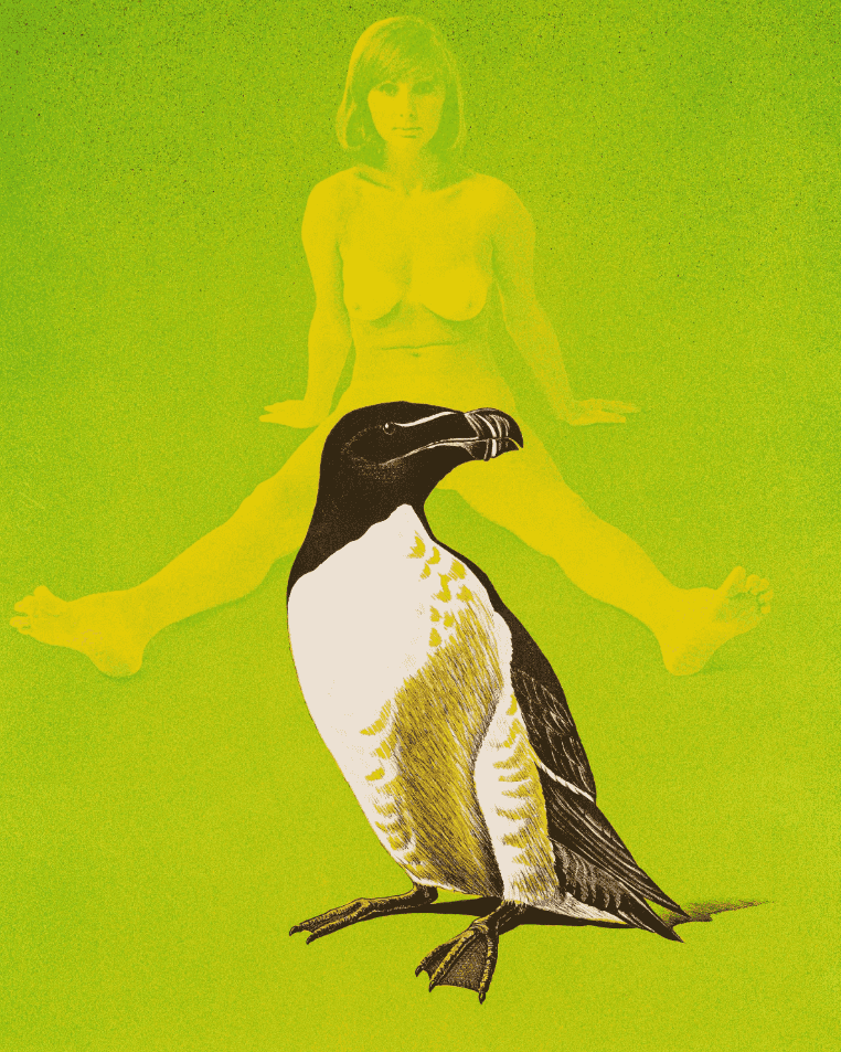 Mel Ramos, ‘Anne and the Auk’, 1969, Print, Colour lithograph on Arches, The Collectors Press,