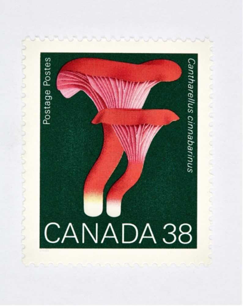 Peter Andrew Lusztyk, ‘Canada 38 Mushroom Stamp (Green)’, 2021, Print, Digital C-Print / Archival Pigment Print, null,