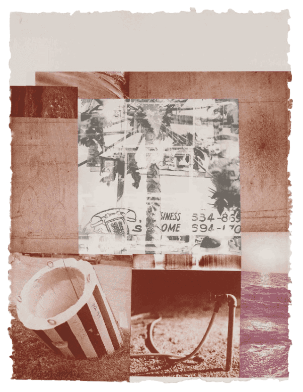 Robert Rauschenberg, ‘Gray Gardens from Rookery Mounds’, 1979, Print, Lithograph in colors, on Twinrocker handmade paper, the full sheet, null,