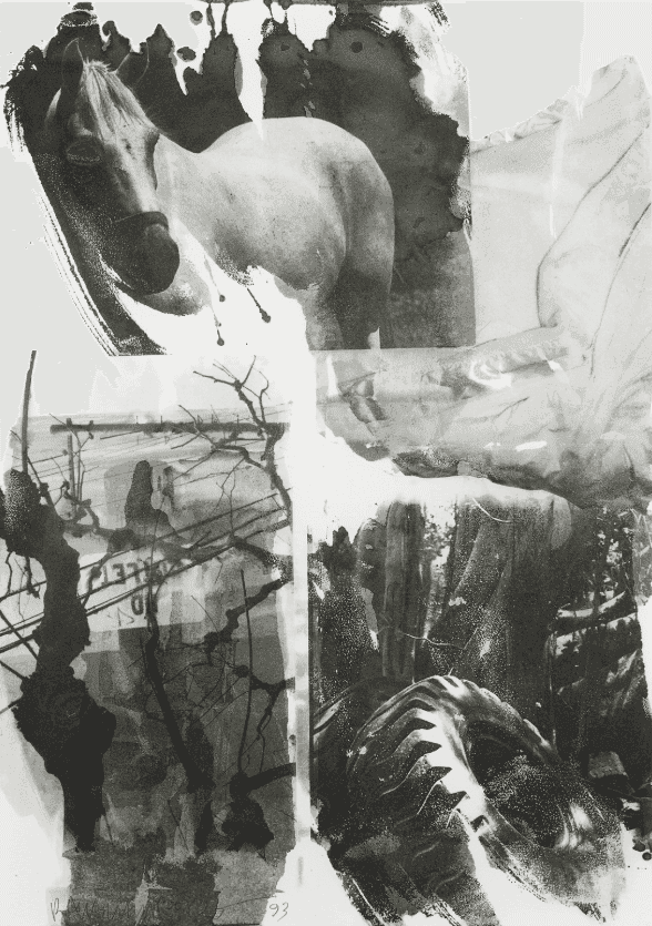 Robert Rauschenberg, ‘Horse Silk from the Night Sights Series’, 1993, Print, Screenprint and Offset Lithograph, null, Numbered, Dated