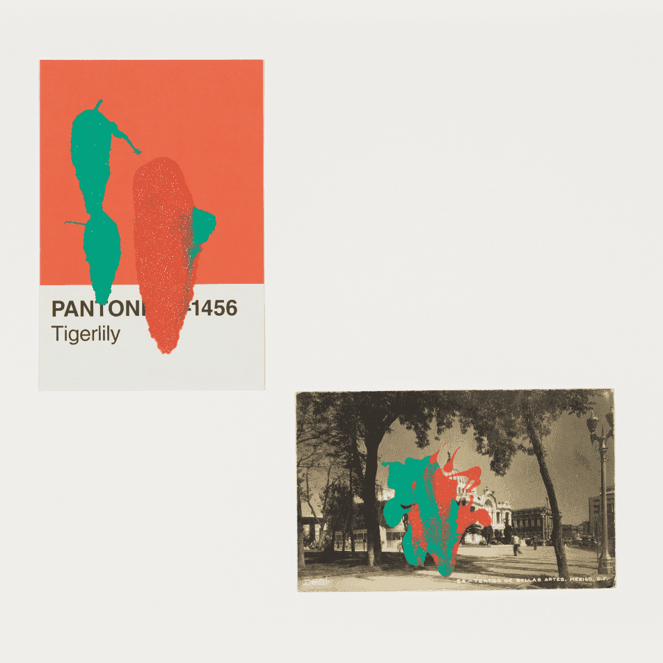 Tacita Dean, ‘Pantone Pair (Tigerlily)’, 2019, Print, Found Pantone card paired with postcard from the artist's collection, monoprinted and framed to the artist's specifications, Gemini G.E.L.,