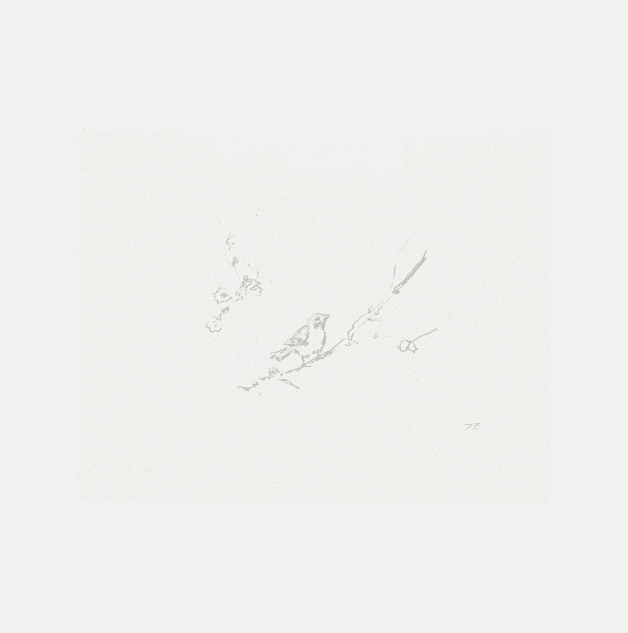 Tracey Emin, ‘Sam and Jay's Birds’, 2004, Print, Soft-ground etching on wove paper, null,