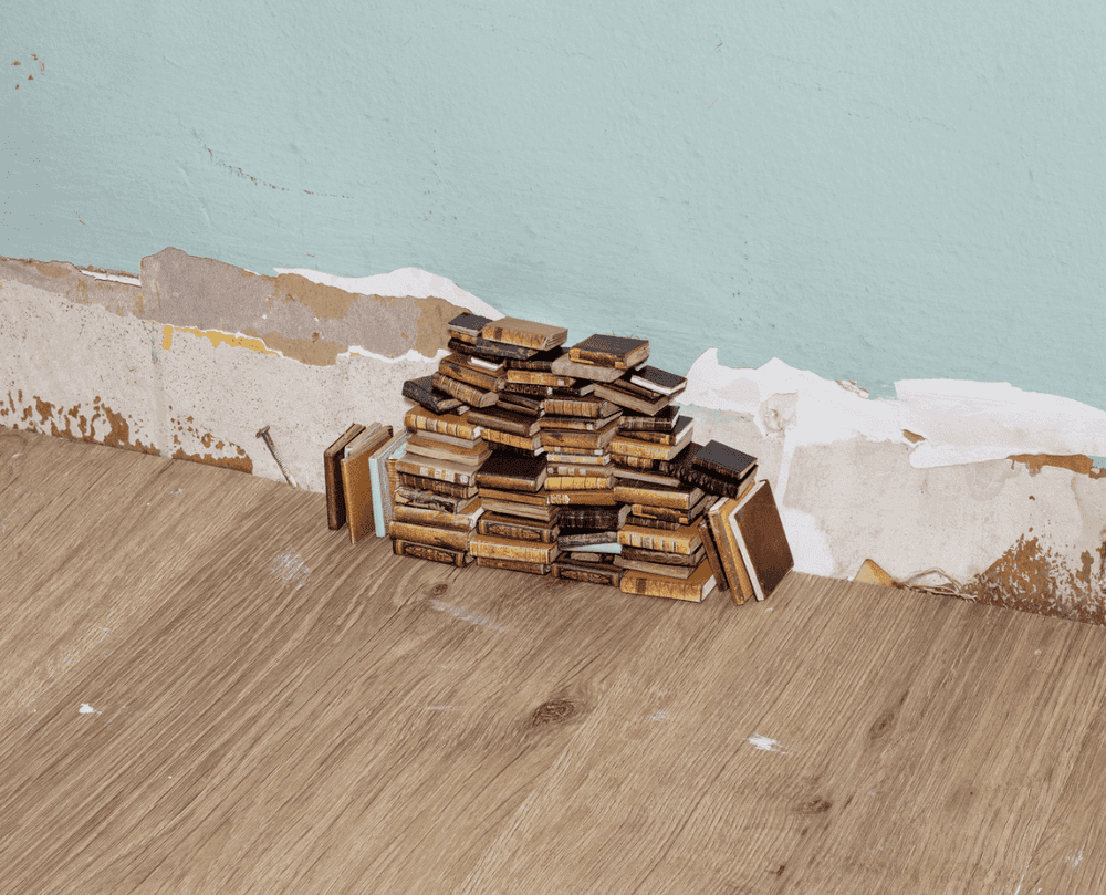 Alec Soth, ‘Lauren's Books, New Orleans, Louisiana, USA’, 2023, Print, Archival pigment print, null,
