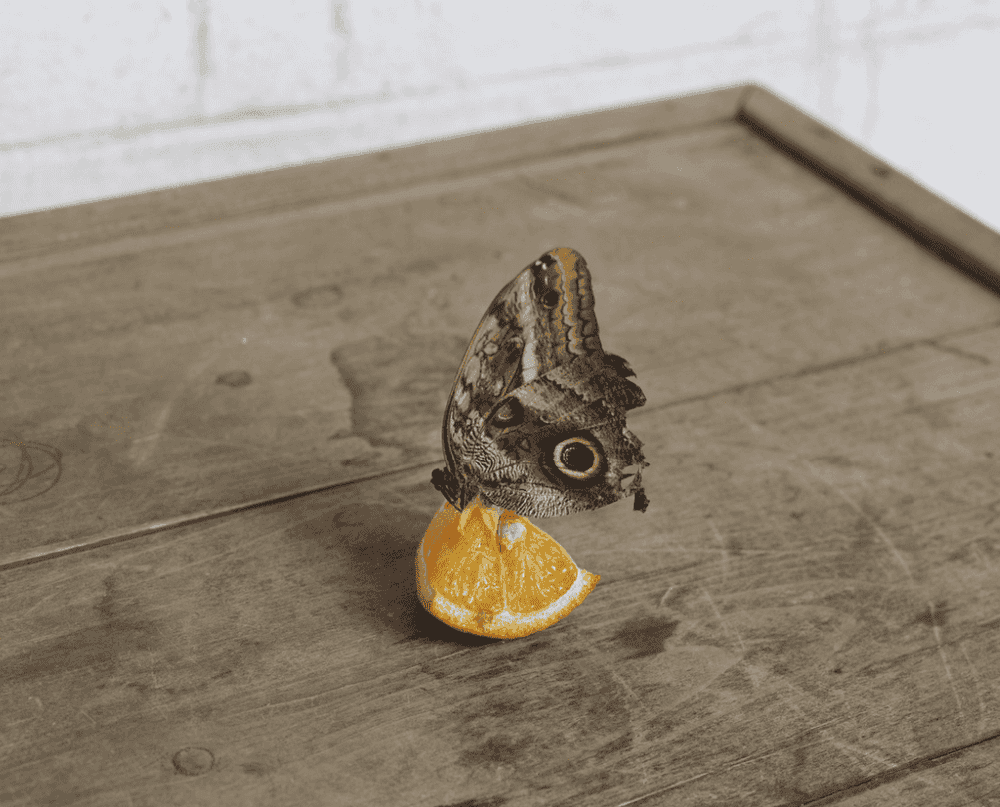 Alec Soth, ‘Philadelphia, Pennsylvania’, 2021, Print, Archival pigment print, null,