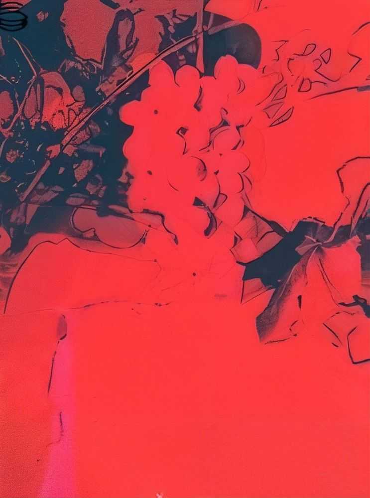 Andy Warhol, ‘Grapes (Special Edition) (FS II.190A)’, 1979, Print, Screenprint on Strathmore Bristol Paper, null, Numbered