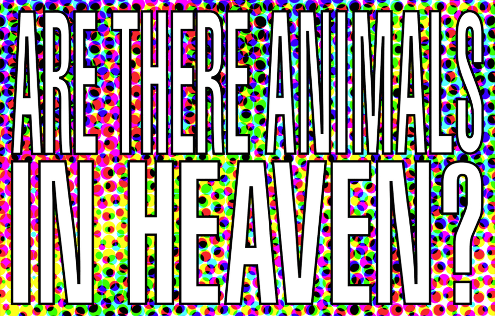 Barbara Kruger, ‘Are There Animals In Heaven’, 2011, Print, Archival Pigment Print, null, Numbered