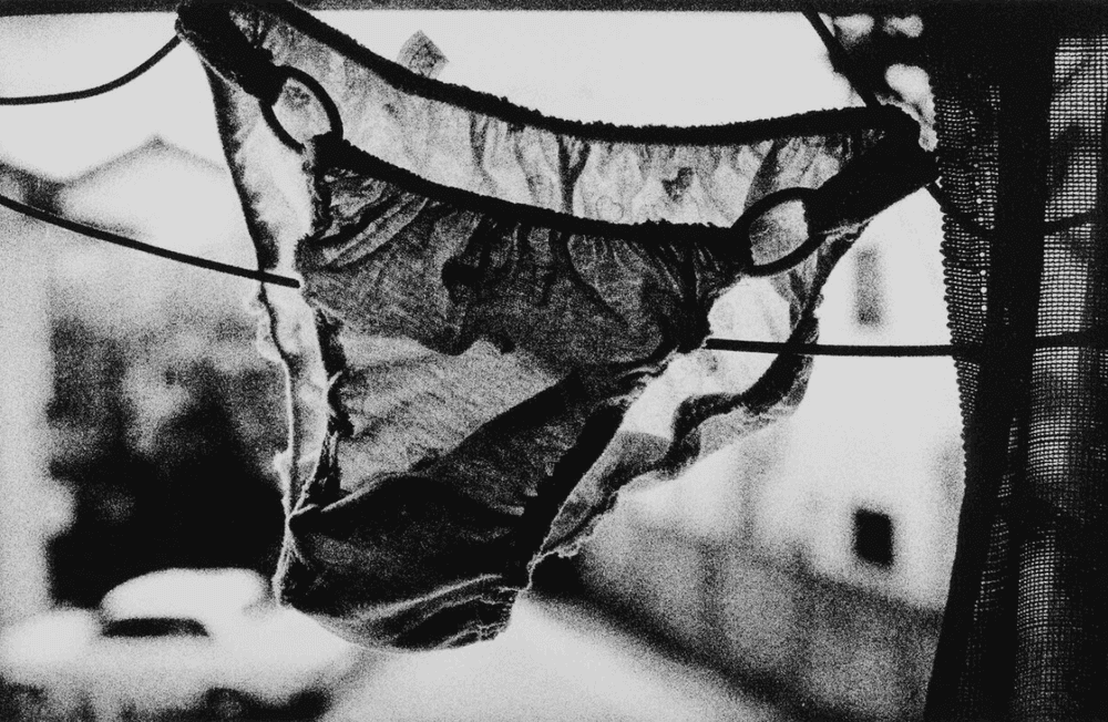 Daido Moriyama, ‘How to Create a Beautiful Picture’, 1987, Print, Silkscreen on canvas, null,