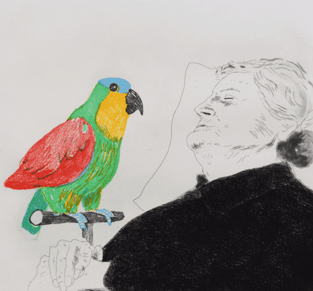 David Hockney, ‘Felicite Sleeping, With Parrot’, 1974, Print, Intaglio on paper, null, Numbered
