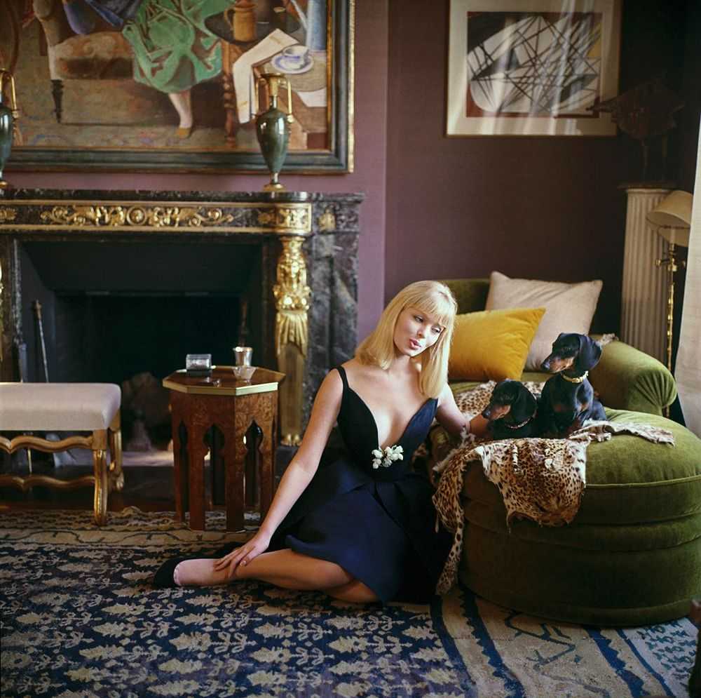 Mark Shaw, ‘Designers' Homes, Nico Sitting With Dachshunds Wears Dior (Extra Large)’, 1960, Print, Pigment print on Hahnemϋhle photo rag paper, null,