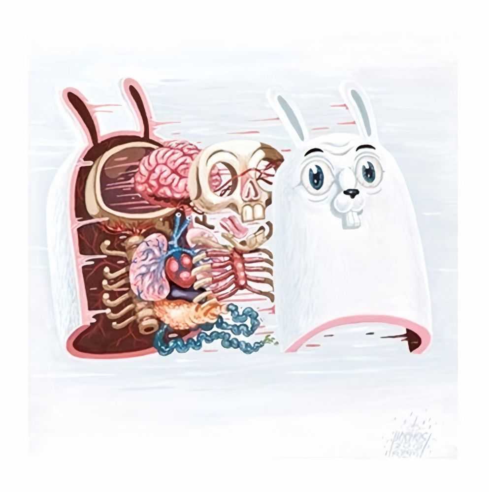 Nychos, ‘Dissection Of The White Rabbit’, 2013, Print, Giclee Print, 1xRUN,