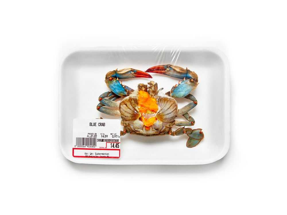 Peter Andrew Lusztyk, ‘Still Life- Blue Crab (Small)’, 2023, Print, Digital C-Print / Archival Pigment Print, null,