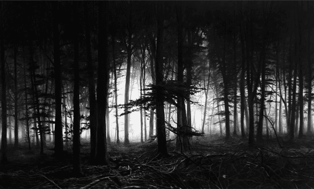 Robert Longo, ‘Forest of Doxa’, 2014, Print, Archival pigment print, on Epson Exhibition paper laid down to Dibond, the full sheet, Adamson Editions, Numbered