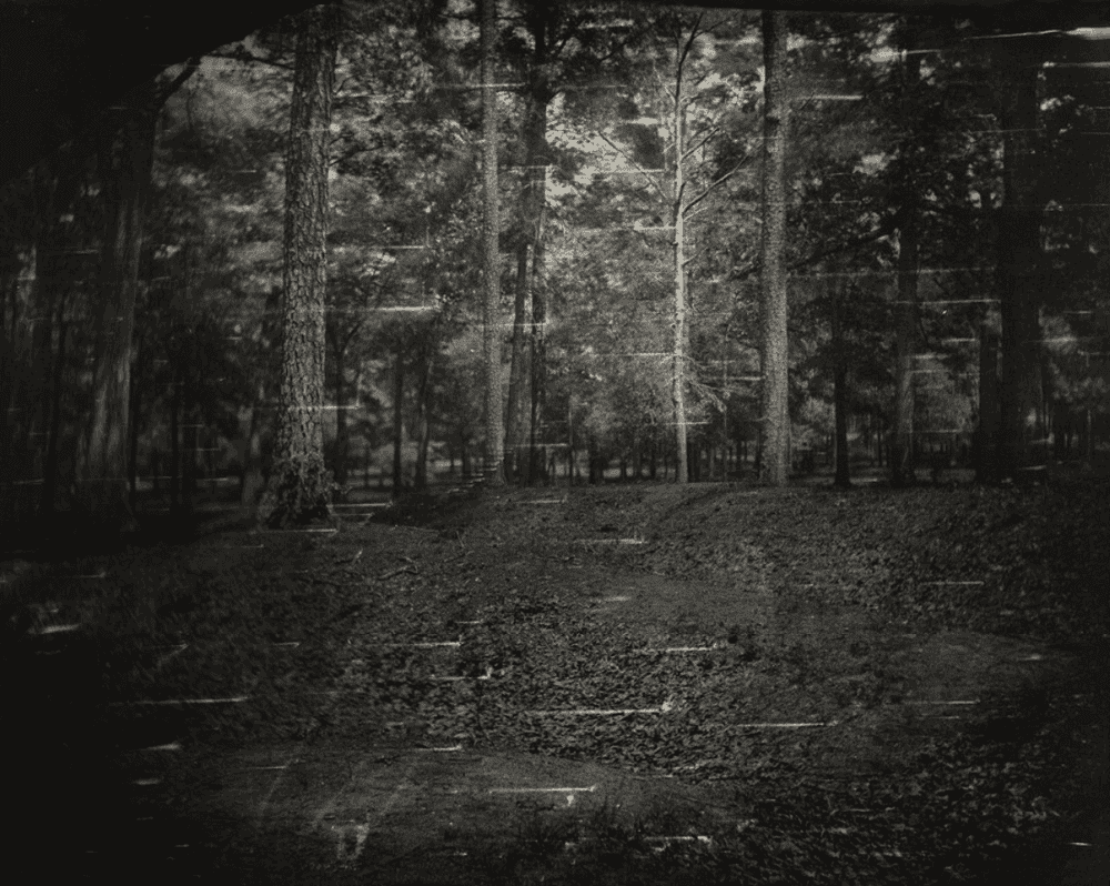 Sally Mann, ‘Battlefields, Untitled, Cold Harbor (Battle)’, 2003, Print, Gelatin silver enlargement print, null,