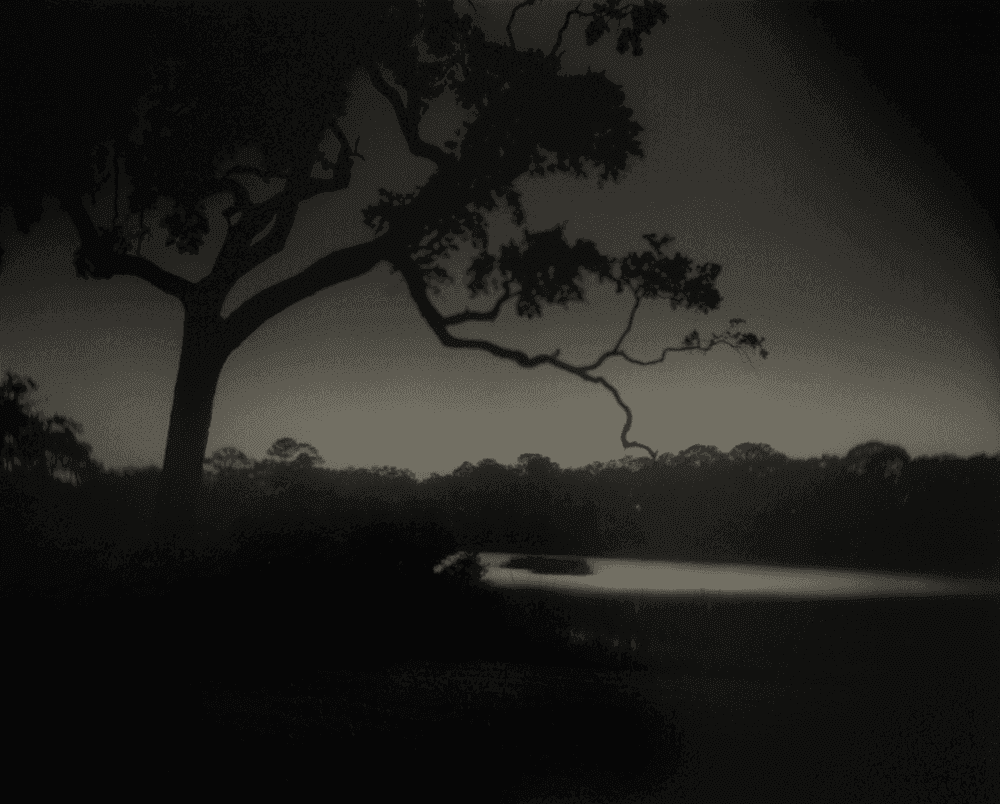 Sally Mann, ‘Deep South, Untitled (Weyanoke Estate, Louisiana)’, 1998, Print, Silver gelatin print, null,